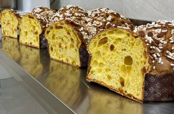 laboratorio artigianale pandori panettoni colombe