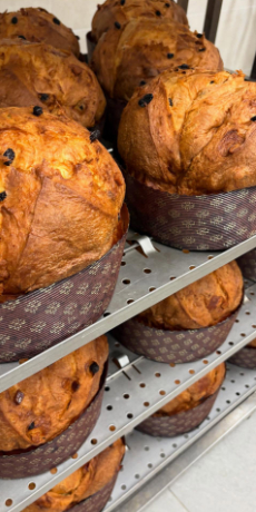 laboratorio artigianale pandori panettoni colombe