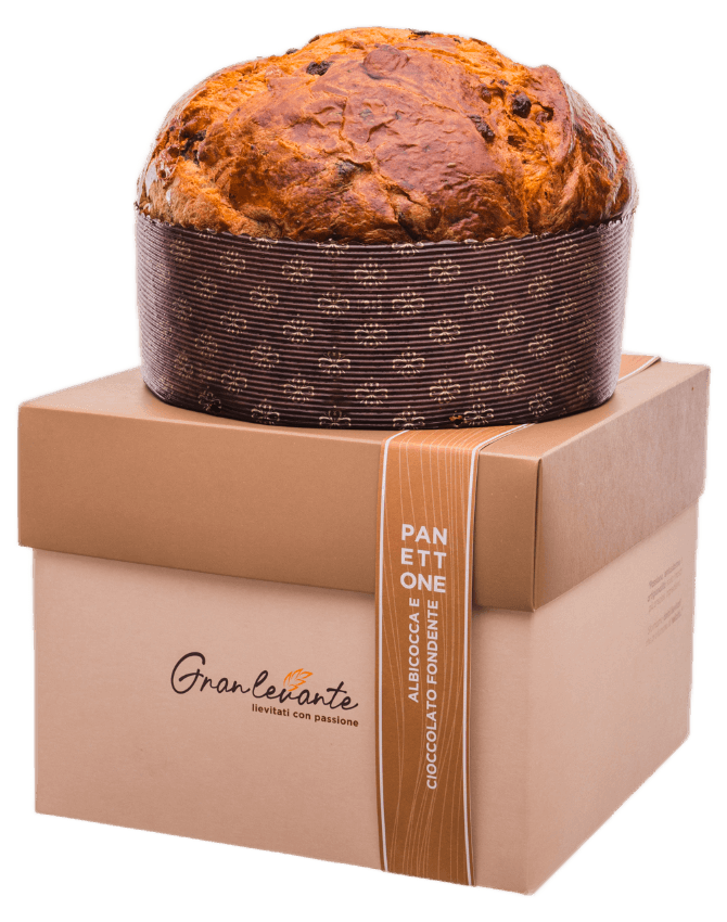 Panettone albicocca e cioccolato